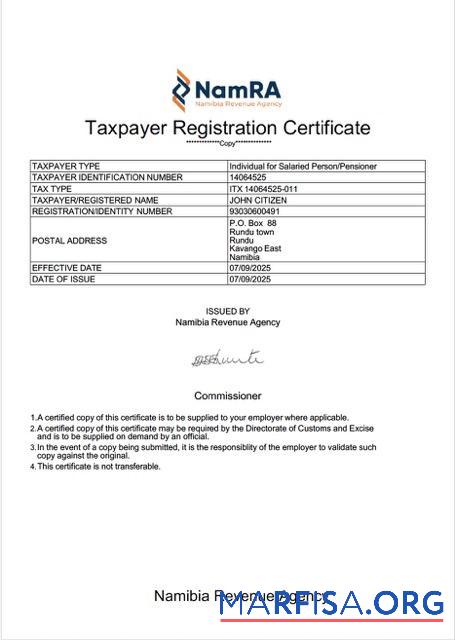 Printable Namibia taxpayer registration certificate Word and PDF template
